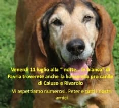 A.A.A. CERCASI SPONSOR per CALENDARIO 2015