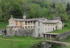 RIBORDONE-BAIRO - Nidi di vespe: intervengono i vigili del fuoco