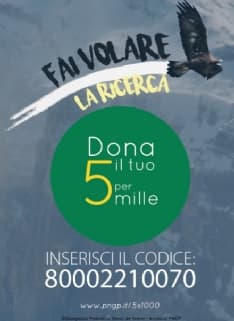 GRAN PARADISO - Il cinque per mille per le marmotte del Parco