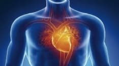 COLLERETTO GIACOSA - Medici ed esperti a confronto sulle cause dell'ictus