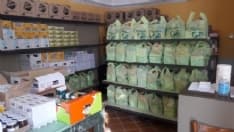 CUORGNE' - L'emergenza covid è povertà alimentare e crisi psicologica