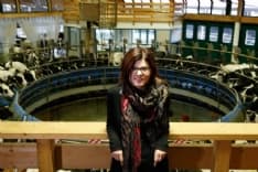 AGLIE'-RIVAROLO - La carne del Canavese scelta da McDonald's per i suoi hamburger