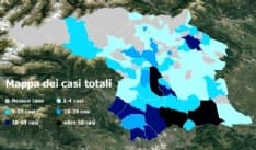 CORONAVIRUS - In Canavese morto l'11,5% dei pazienti positivi. Primo decesso anche all'Anffas di Rivarolo