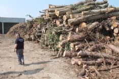 AMBIENTE - Da Foglizzo a Rivarolo: dove nasce il cippato per la centrale Gdf Suez