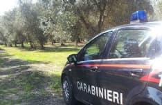 SAN CARLO CANAVESE - Armi e munizioni per assaltare i furgoni portavalori trovate in un borsone nascosto in campagna