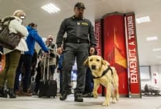 CASELLE - 200 mila euro recuperati grazie al fiuto del cane Zeby - FOTO