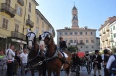 IVREA - San Savino, numero chiuso per la sfilata delle carrozze e obbligo di indossare la mascherina