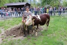 LOCANA - Pieno successo per la rassegna zootecnica