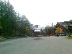 VALPRATO - Getta la spazzatura e viene morso da una vipera