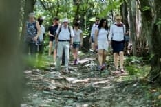 TORRE CANAVESE - Storie e leggende con Morena Stories - FOTO