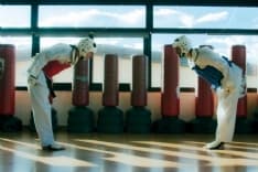 RIVAROLO - Riprende l'attività della Taekwondo Canavese