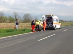 FAVRIA - Allevatore ferito da una mucca finisce al Cto - VIDEO