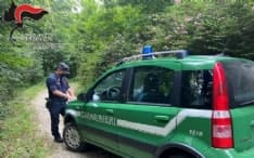 BARONE CANAVESE - I cacciatori sparano ma centrano le case: allarme in paese