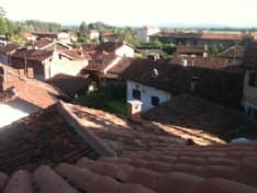 CANAVESE - Il forte vento abbatte alberi e tegole