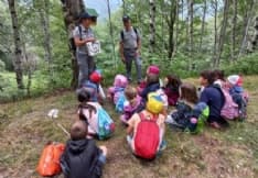 VALCHIUSELLA - Casette per salvare gli uccellini: a Issiglio grazie ai bimbi delle scuole