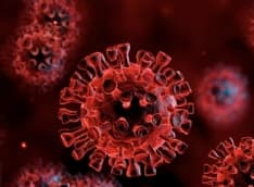 COVID - Un positivo su due in Piemonte ha la variante inglese. Ancora nessun caso di variante brasiliana o sudafricana