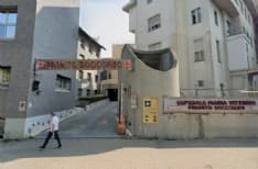 BORGOFRANCO D'IVREA - Ragazzino ferito da due pit bull che gli sbranano il cagnolino