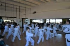 TAEKWONDO - Nuove cinture a 18 bambini e 11 adulti della Taekwondo Canavese