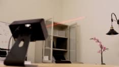 INSETTI - Il killer delle zanzare