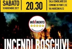 PONT - Incendi boschivi: la politica chiede più prevenzione