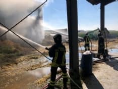 RIVAROLO CANAVESE - Incendio ad Argentera: mucche in salvo, ora bisogna trovare il fieno - FOTO