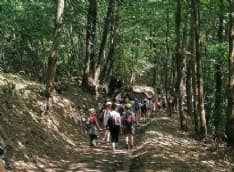 CUCEGLIO - Ripuliti i sentieri che portano a Pianezze