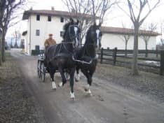 FAVRIA - Addio a Carlo Ferrando Battistà della «Ferrando Cavalli»