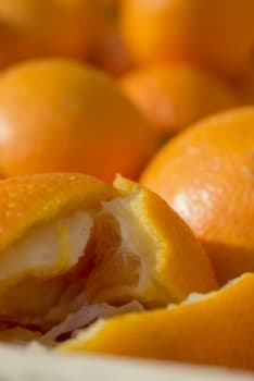 IVREA - Dalle arance dello Storico Carnevale, contro gli sprechi, nasce il «compost frigio»