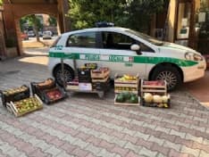 CIRIE' - Vende frutta e verdura ma è un abusivo: denunciato e multato