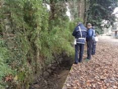 CUORGNE' - Strage di pesci nella roggia di Oglianico: forse chiuse le paratie, fauna soffocata