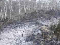 CASTELNUOVO NIGRA - Pasqua di lavoro per i vigili del fuoco: incendio nei boschi vicino al Palasot