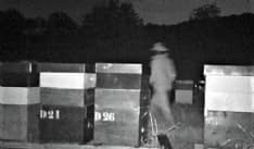 PEROSA CANAVESE - Ladro solitario ruba miele e api dalle arnie