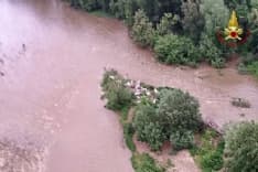 SAN BENIGNO - Mucche bloccate nel torrente Malone: intervento di salvataggio dei vigili del fuoco - FOTO