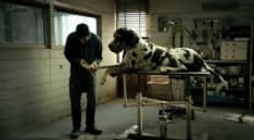 DUE CITTA' AL CINEMA - «Dogman», il capolavoro di Garrone, al Cinema Margherita - TRAILER