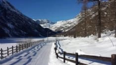 GRAN PARADISO - Si scia in Canavese!