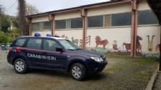 COLLERETTO CASTELNUOVO - Sfratto al maneggio: 12 cavalli bloccati dentro le stalle senza cibo - FOTO