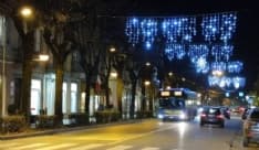 RIVAROLO CANAVESE - Ladri di alberi di Natale in azione in corso Torino