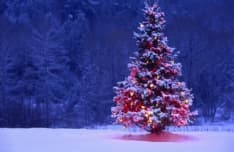 CANAVESE - Tutte le feste di Natale minuto per minuto