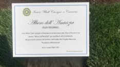 RIVAROLO CANAVESE - L'albero dell'amicizia donato dall'Inner Wheel Cuorgnè e Canavese - FOTO