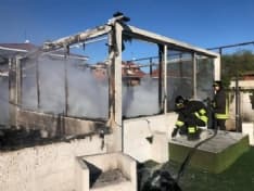 FELETTO - Incendio nella sede della Federazione Nazionale Calcio Balilla: «Speriamo prendano il responsabile del rogo» - FOTO