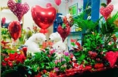 CASTELLAMONTE - «Il Libro dei Fiori» regala un San Valentino speciale - FOTO