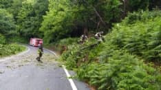 ALPETTE-CUORGNE' - Crollano piante, intervento dei vigili del fuoco - FOTO