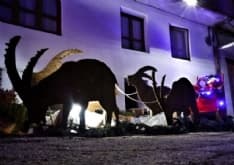 NOASCA - «Bandite» le renne, Babbo Natale arriva con gli stambecchi