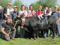 FAVRIA - Successo per la Fiera di Sant'Isidoro - FOTO