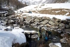 LOCANA - Il Parco Gran Paradiso al salvataggio della trota marmorata