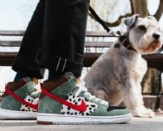 PET - Le sneaker per i bisognini