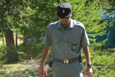 TORINO E CANAVESE - «Vigilanza faunistica a rischio se non verrà assunto altro personale»