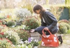 EVENTI - A Masino si celebrano i giardini d'autunno