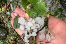 CANAVESE - Grandinata nella notte in diversi Comuni della zona - FOTO