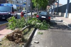 RIVAROLO - Perde il controllo dell'auto e abbatte semaforo, albero e lampione: donna illesa - FOTO